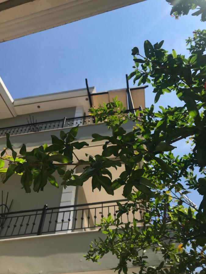 Villa Dorita Luxury Apartments パルガ エクステリア 写真