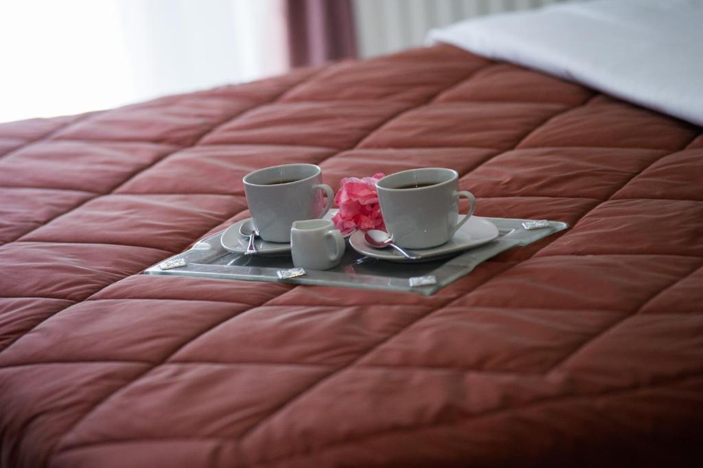 Villa Dorita Luxury Apartments パルガ 部屋 写真