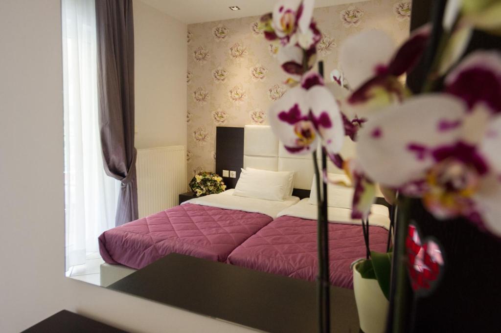 Villa Dorita Luxury Apartments パルガ 部屋 写真