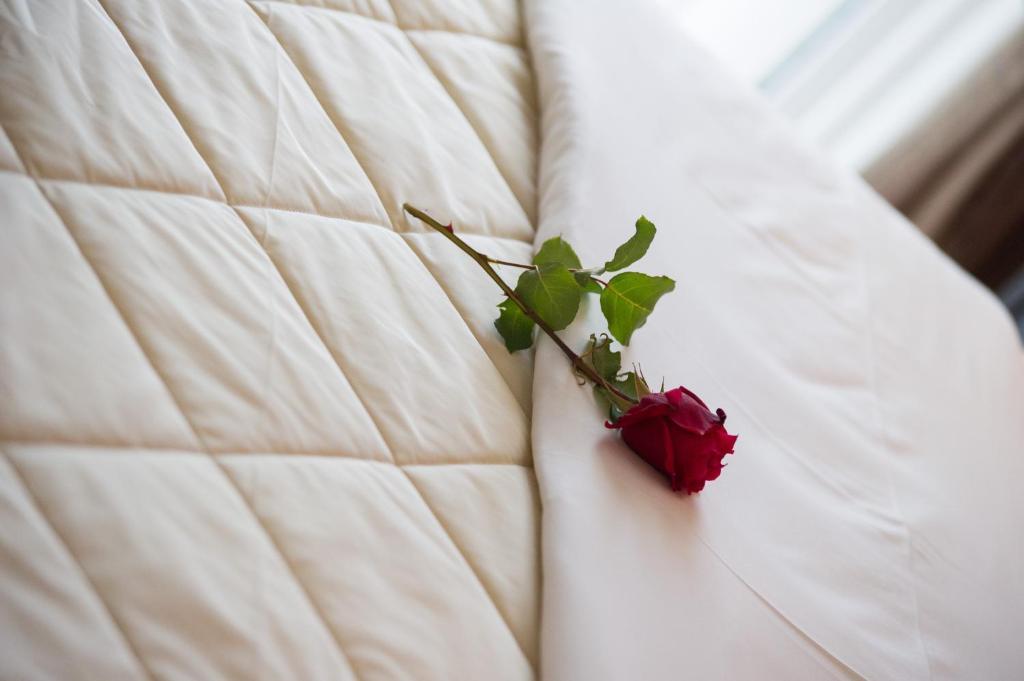 Villa Dorita Luxury Apartments パルガ エクステリア 写真