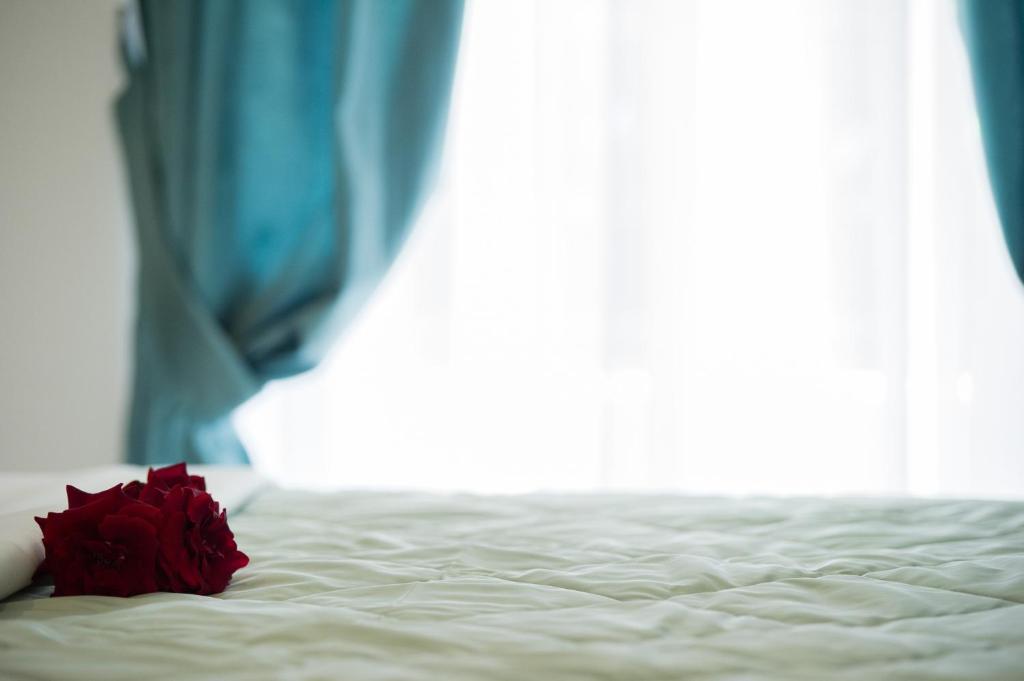 Villa Dorita Luxury Apartments パルガ エクステリア 写真